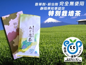 贈答用　上級煎茶100ｇ×1コ入り