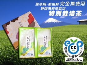 贈答用　上級煎茶100ｇ×2コ入り