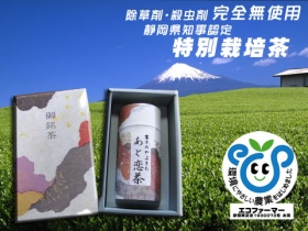 贈答用　上級煎茶200ｇ化粧箱缶入り